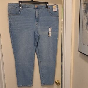 Terra & Sky Light Blue Ankle Jeans